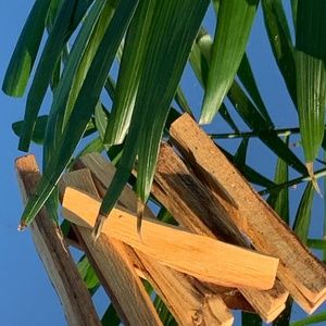 Palo Santo Stick